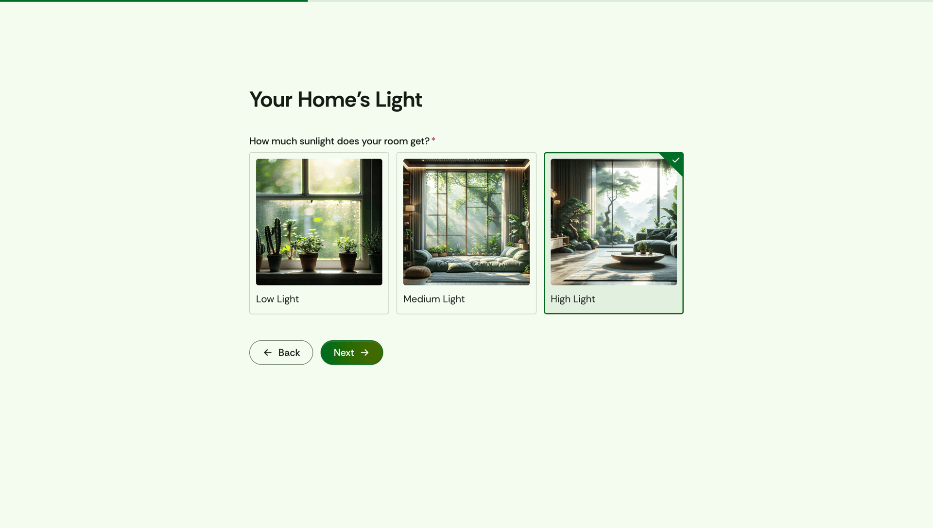 Which Houseplant Should You Get Quiz